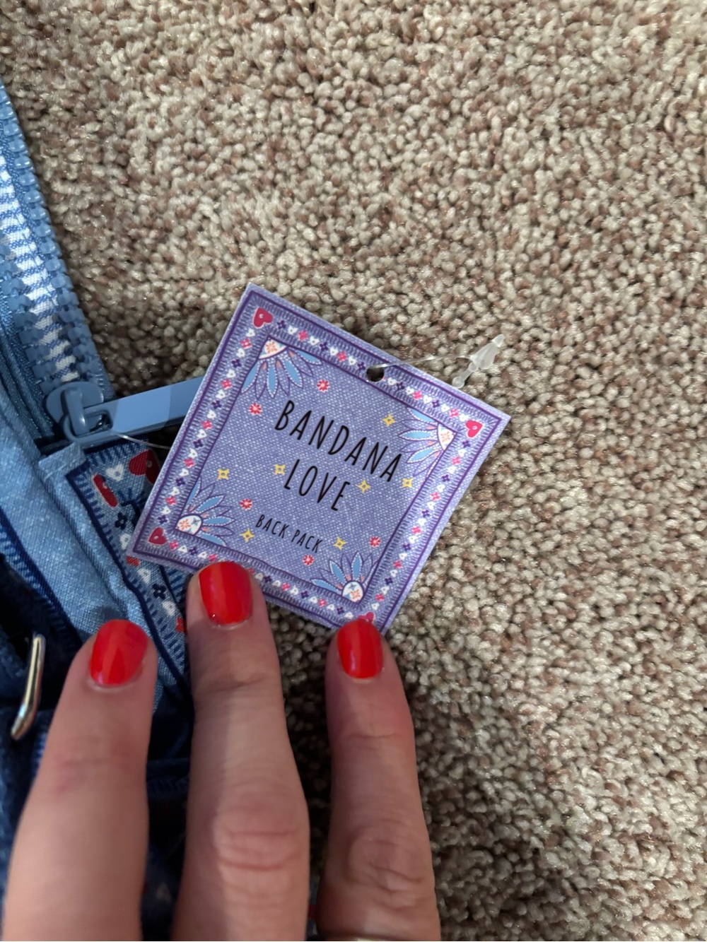 Brighton Blue Bandana-Print Mini Backpack with Floral Embroidery - Picture 3 of 4